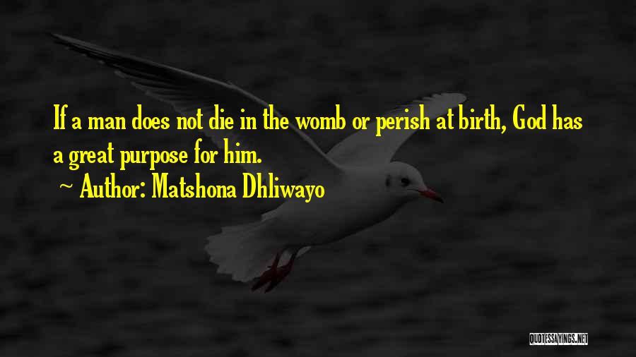 Life In The Womb Quotes By Matshona Dhliwayo