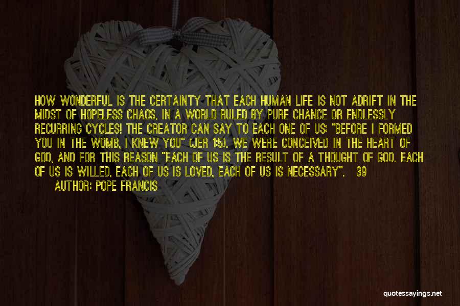 Life In The Womb Quotes By Pope Francis