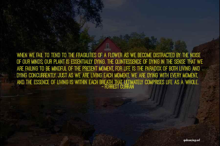 Life Inspirational And Motivational Quotes By Forrest Curran Life Inspirational And Motivational Quotes By Forrest Curran