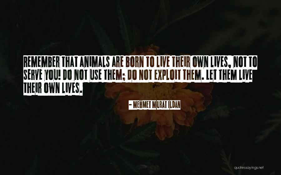 Life Insurance Prudential Quotes By Mehmet Murat Ildan Life Insurance Prudential Quotes By Mehmet Murat Ildan