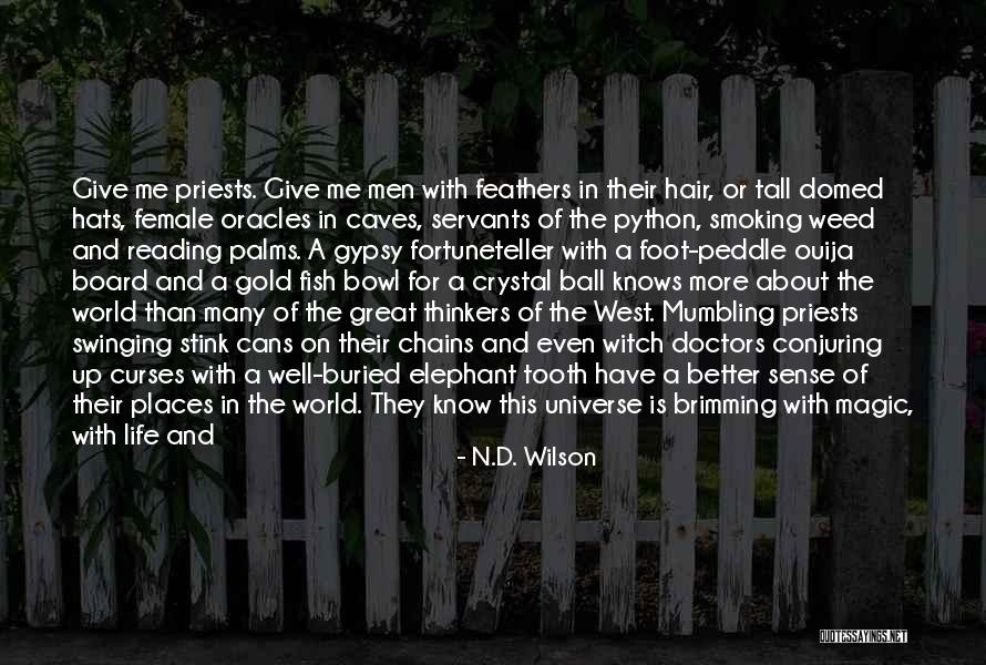 Life Ironies Quotes By N.D. Wilson