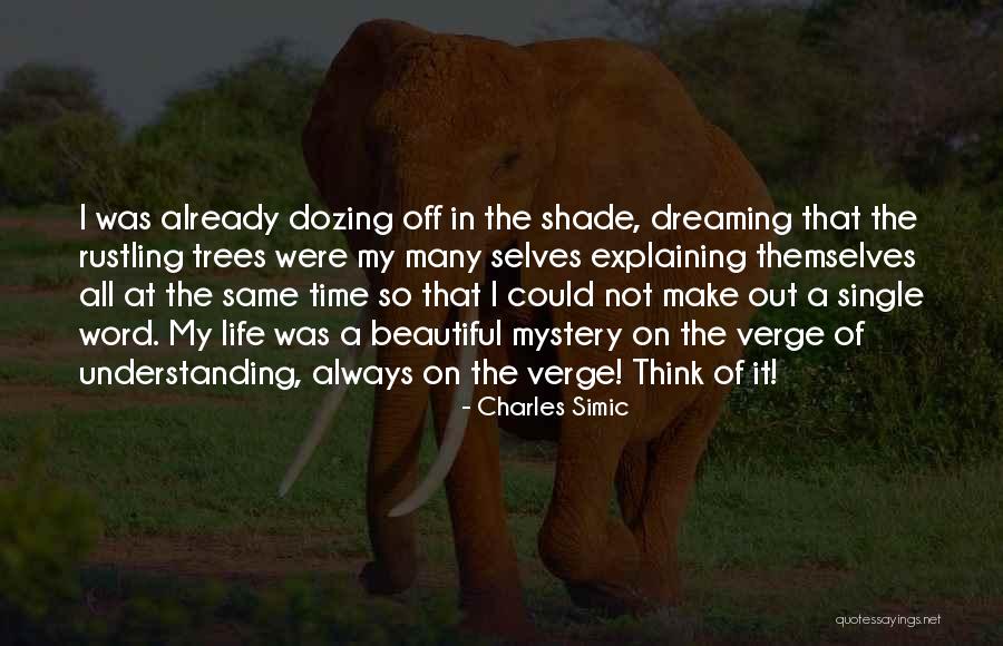 Life Is A Beautiful Mystery Quotes By Charles Simic Life Is A Beautiful Mystery Quotes By Charles Simic