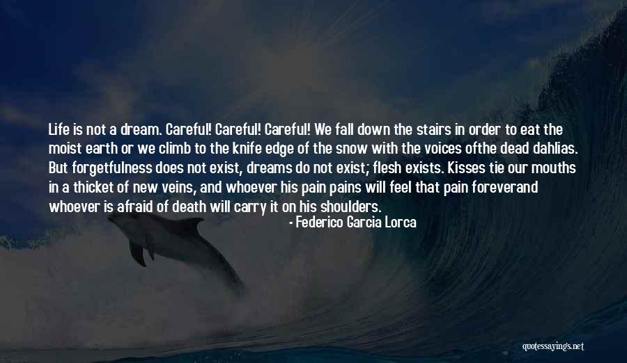 Life Is A Climb Quotes By Federico Garcia Lorca Life Is A Climb Quotes By Federico Garcia Lorca