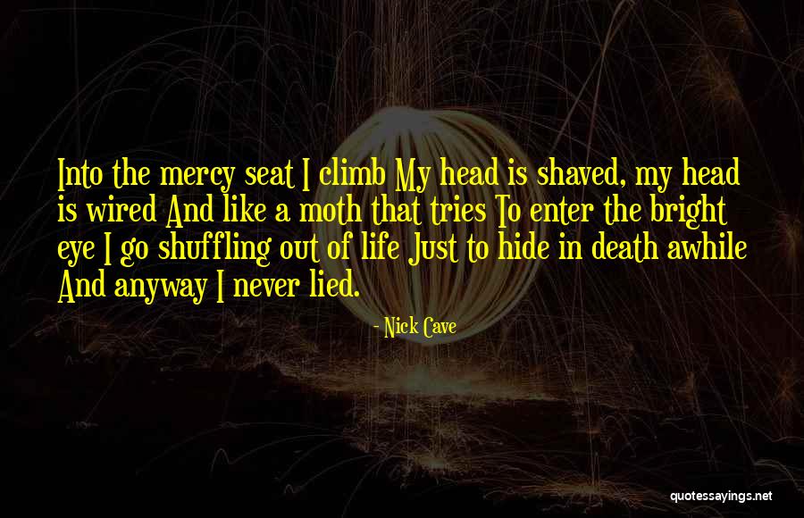 Life Is A Climb Quotes By Nick Cave Life Is A Climb Quotes By Nick Cave