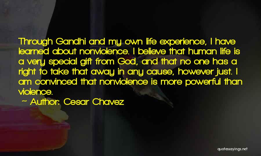 Life Is A Gift Quotes By Cesar Chavez