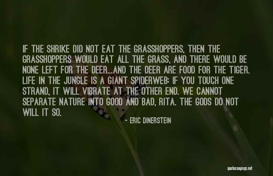 Life Is A Jungle Quotes By Eric Dinerstein Life Is A Jungle Quotes By Eric Dinerstein