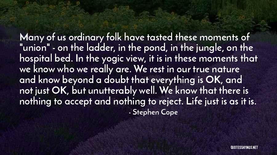 Life Is A Jungle Quotes By Stephen Cope Life Is A Jungle Quotes By Stephen Cope
