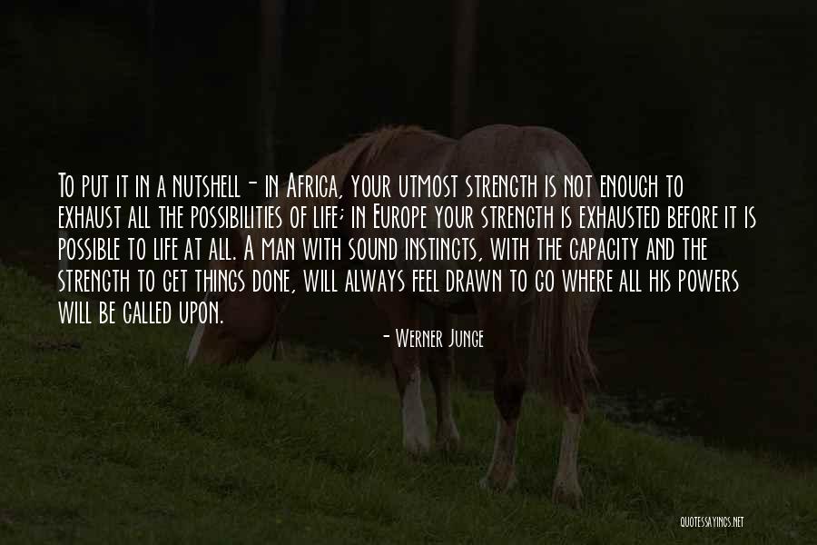 Life Is A Jungle Quotes By Werner Junge