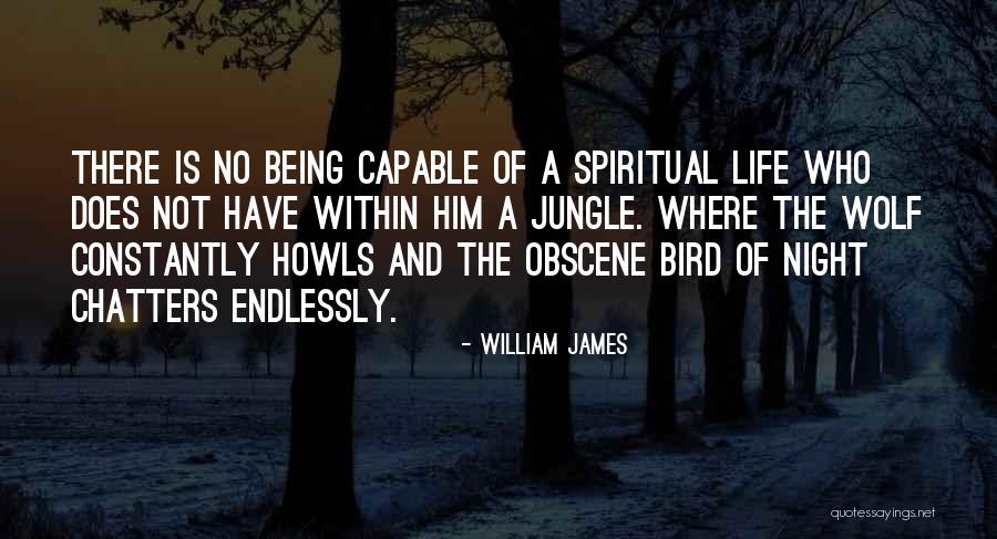 Life Is A Jungle Quotes By William James Life Is A Jungle Quotes By William James