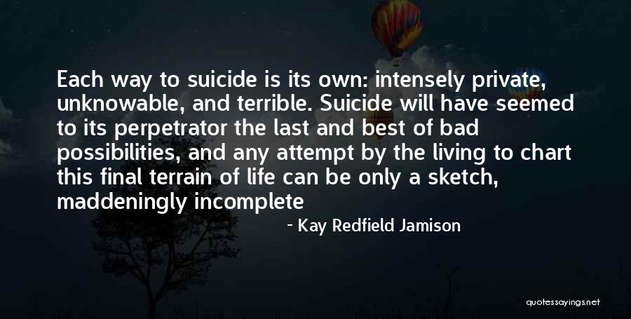 Life Is A Sketch Quotes By Kay Redfield Jamison Life Is A Sketch Quotes By Kay Redfield Jamison