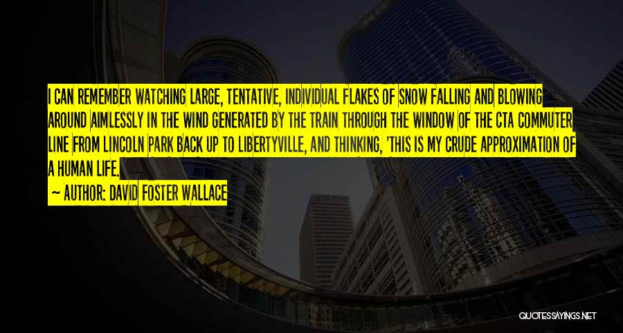 Life Is A Train Quotes By David Foster Wallace