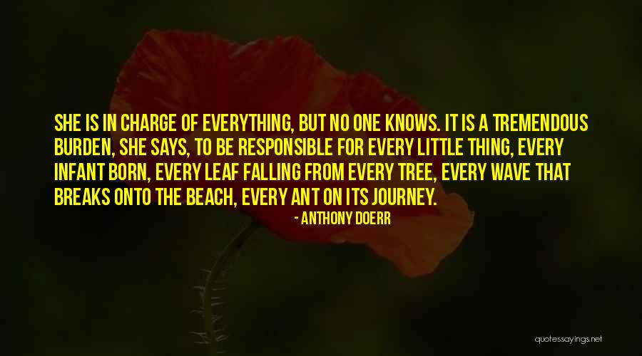 Life Is A Wave Quotes By Anthony Doerr Life Is A Wave Quotes By Anthony Doerr