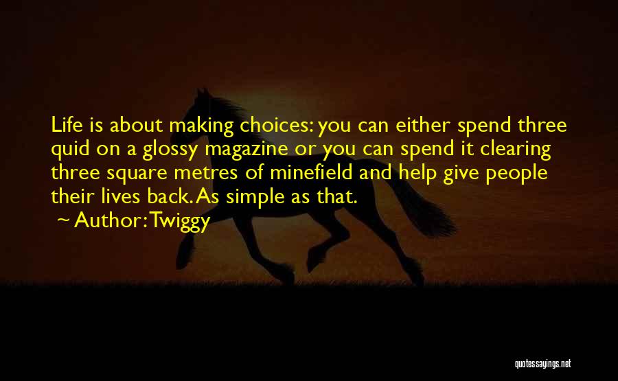 Life Is About Choices Quotes By Twiggy