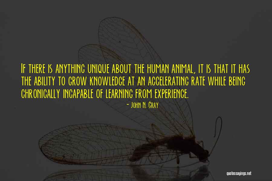 Life Is About Learning Lessons Quotes By John N. Gray Life Is About Learning Lessons Quotes By John N. Gray