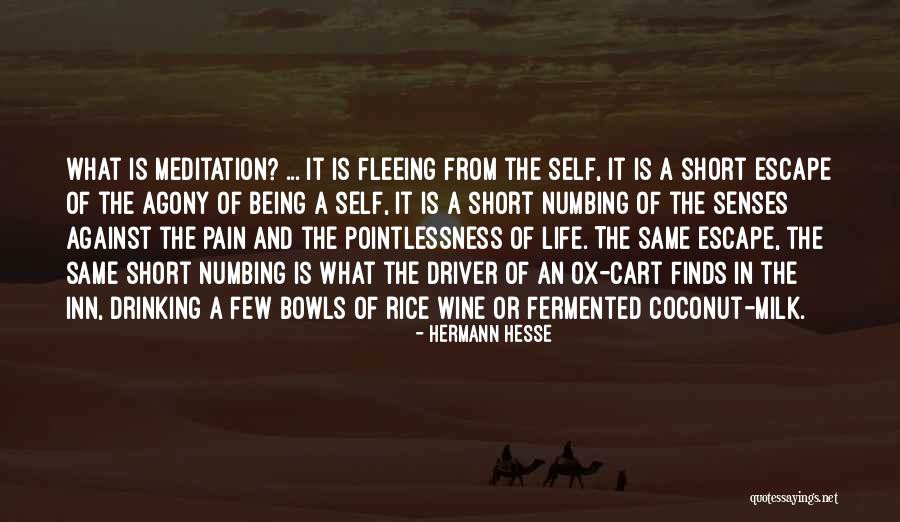 Life Is Agony Quotes By Hermann Hesse Life Is Agony Quotes By Hermann Hesse