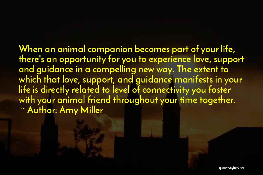 Life Is An Opportunity Quotes By Amy Miller