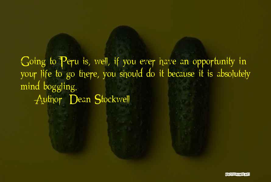 Life Is An Opportunity Quotes By Dean Stockwell