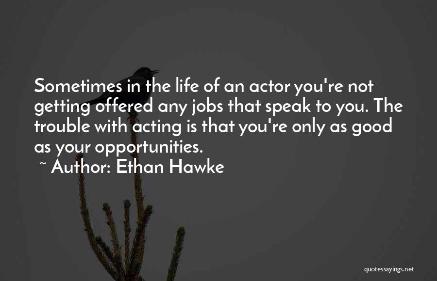 Life Is An Opportunity Quotes By Ethan Hawke
