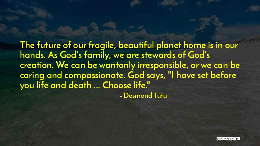 Life Is Beautiful Family Quotes By Desmond Tutu