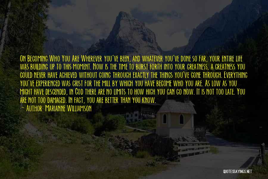 Life Is Better Without You Quotes By Marianne Williamson