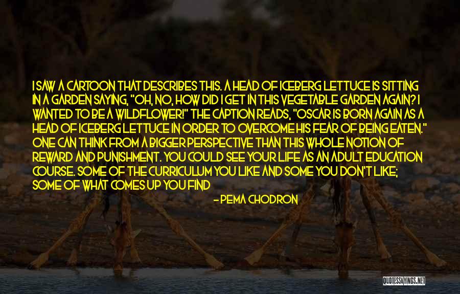 Life Is Bigger Than You Quotes By Pema Chodron Life Is Bigger Than You Quotes By Pema Chodron