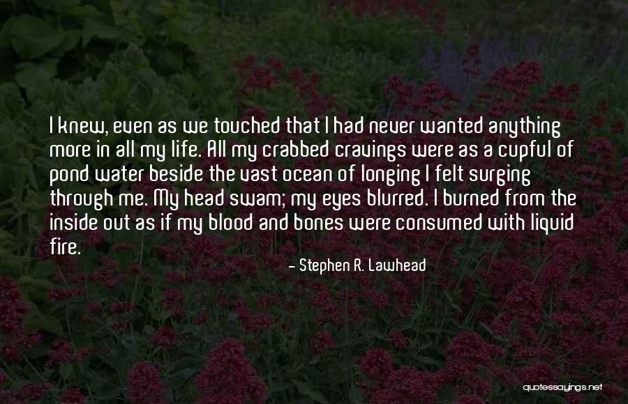 Life Is Blurred Quotes By Stephen R. Lawhead