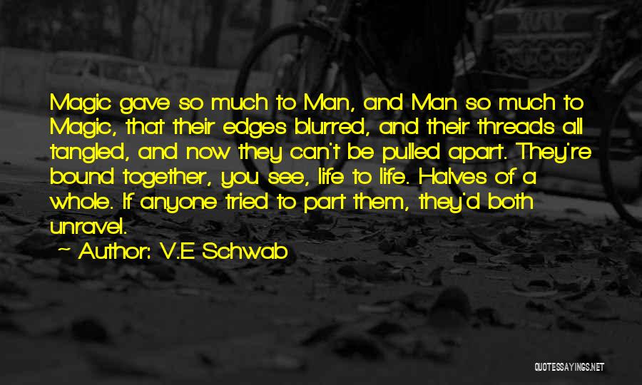 Life Is Blurred Quotes By V.E Schwab