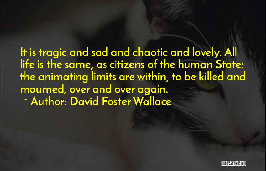 Life Is Chaotic Quotes By David Foster Wallace