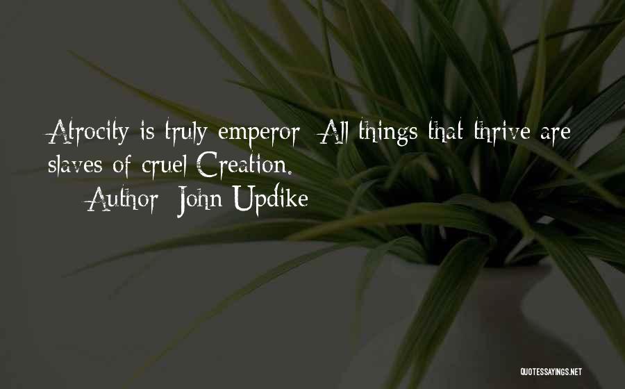 Life Is Cruel Sometimes Quotes By John Updike