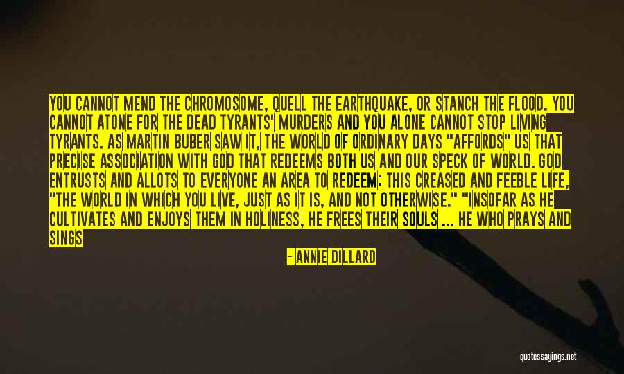 Life Is Earthquake Quotes By Annie Dillard Life Is Earthquake Quotes By Annie Dillard