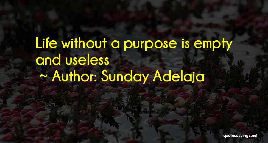 Life Is Empty Quotes By Sunday Adelaja