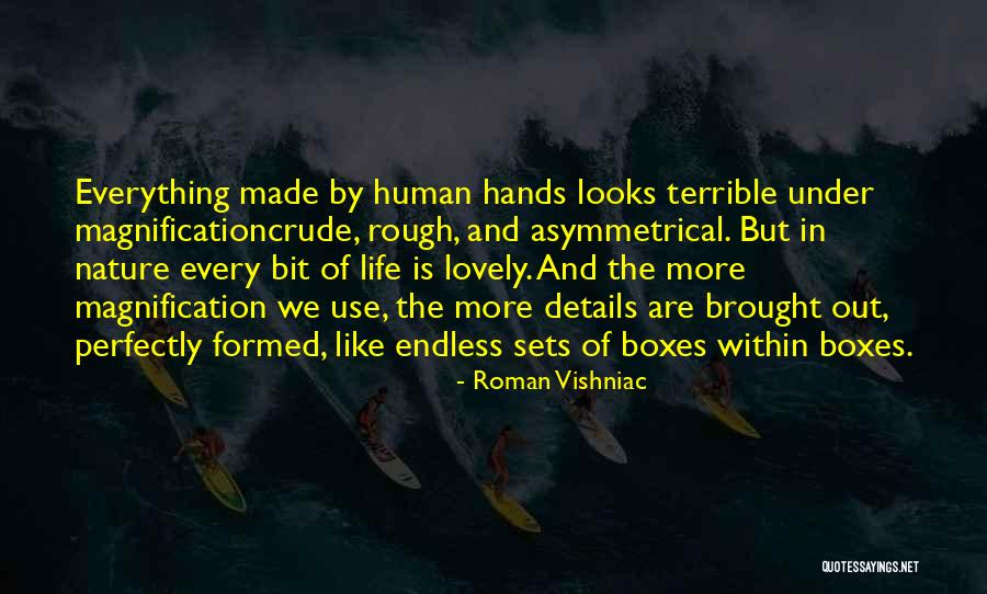 Life Is Endless Quotes By Roman Vishniac Life Is Endless Quotes By Roman Vishniac
