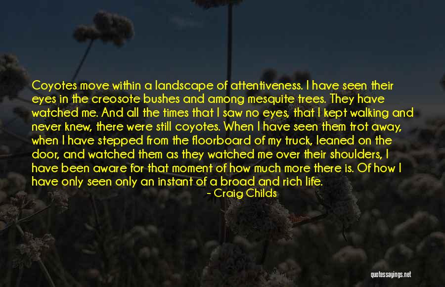 Life Is For Quotes By Craig Childs Life Is For Quotes By Craig Childs