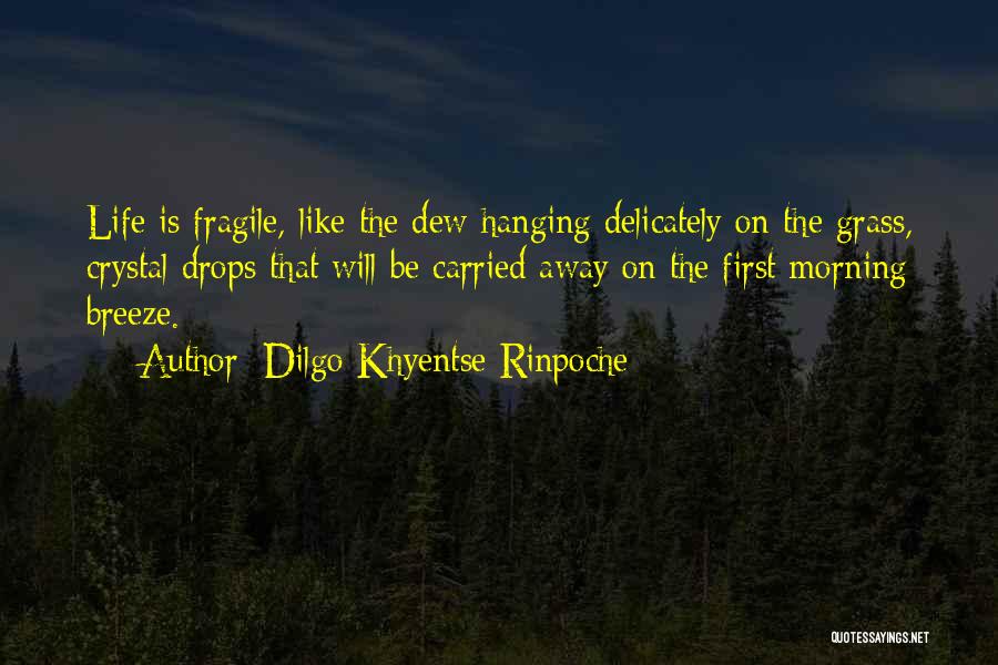Life Is Fragile Quotes By Dilgo Khyentse Rinpoche