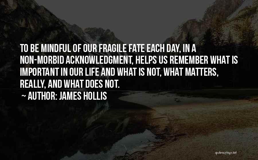 Life Is Fragile Quotes By James Hollis