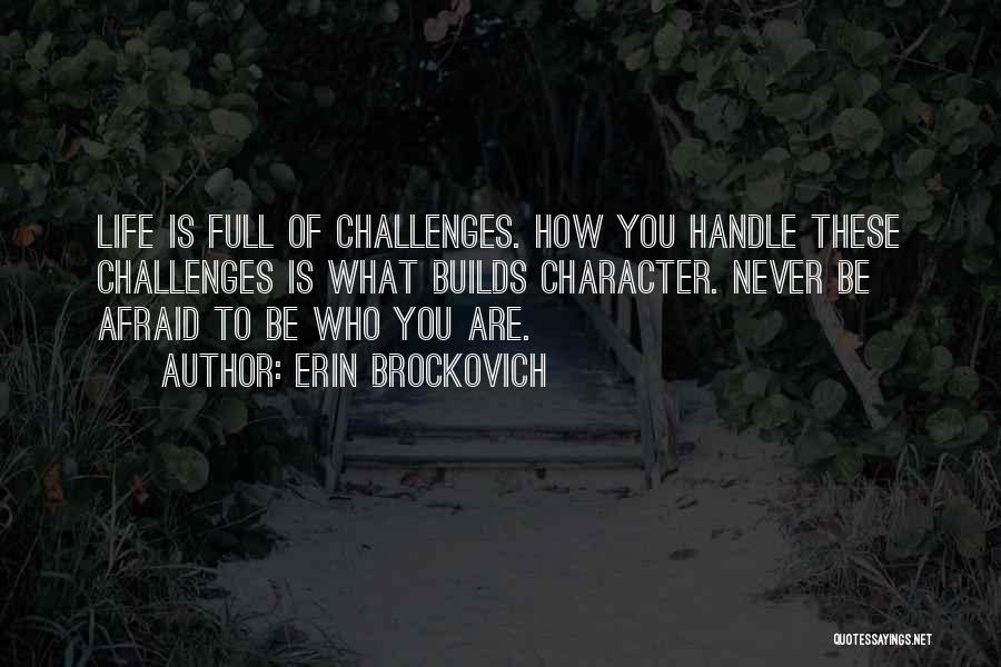 Life Is Full Challenges Quotes By Erin Brockovich