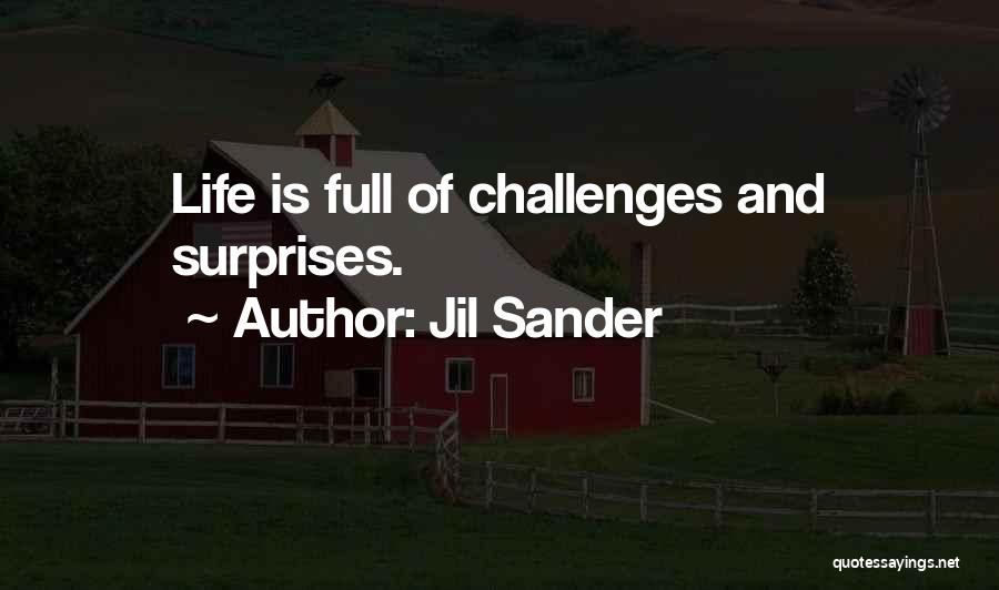 Life Is Full Challenges Quotes By Jil Sander