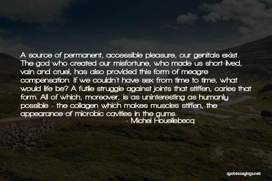 Life Is Futile Quotes By Michel Houellebecq Life Is Futile Quotes By Michel Houellebecq