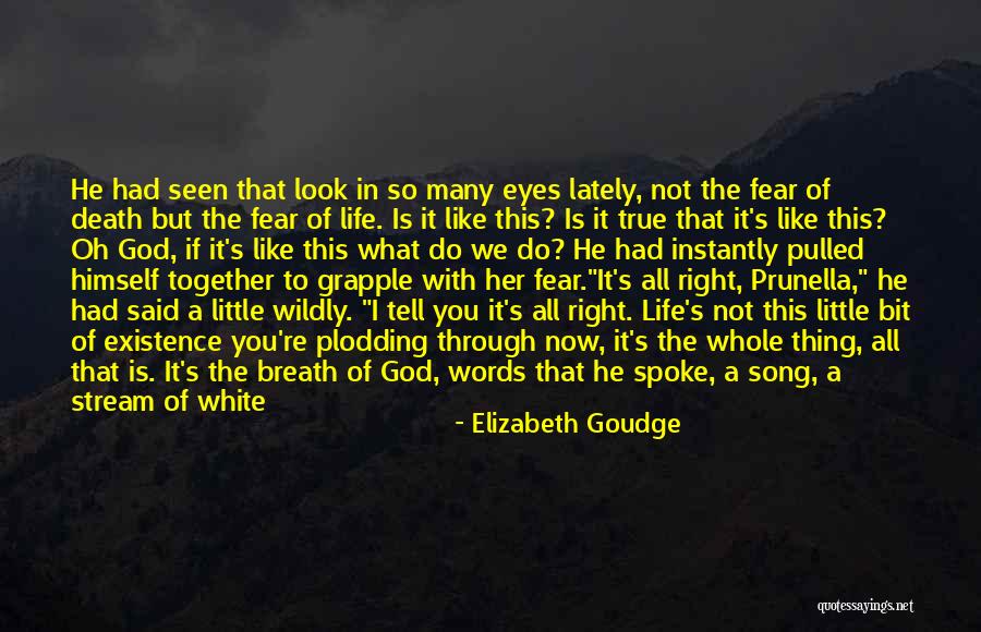 Life Is Good With God Quotes By Elizabeth Goudge