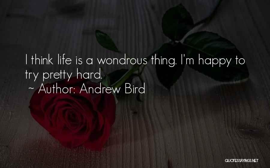 Life Is Hard But Be Happy Quotes By Andrew Bird