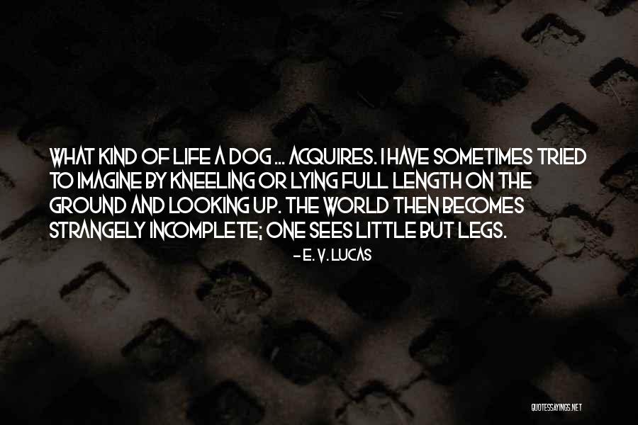 Life Is Incomplete Without You Quotes By E. V. Lucas