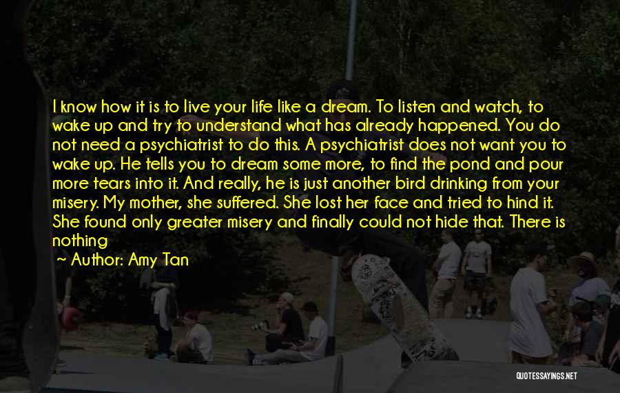 Life Is Just A Dream Quotes By Amy Tan