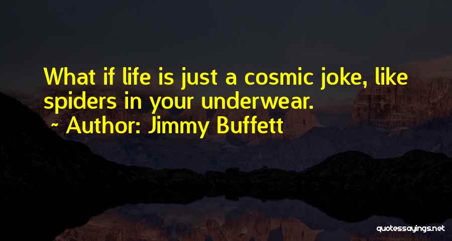 Life Is Just A Joke Quotes By Jimmy Buffett