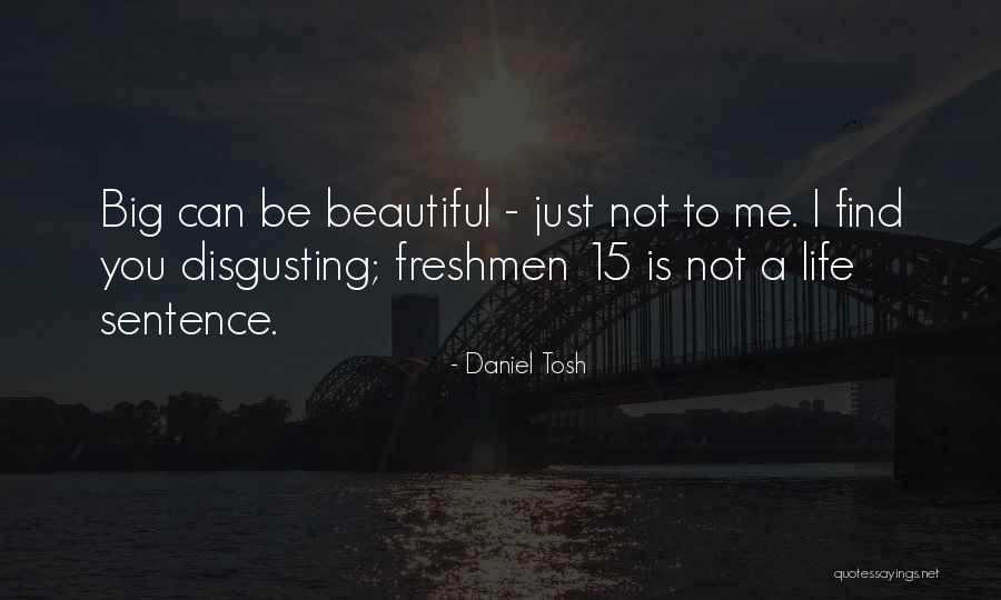 Life Is Just Beautiful Quotes By Daniel Tosh