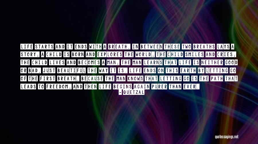 Life Is Just Beautiful Quotes By Quetzal Life Is Just Beautiful Quotes By Quetzal