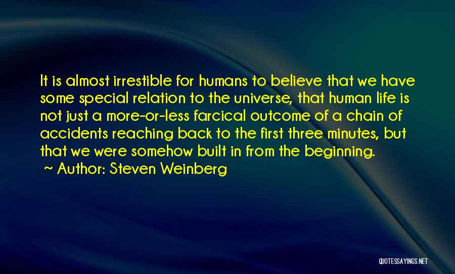 Life Is Just Beginning Quotes By Steven Weinberg