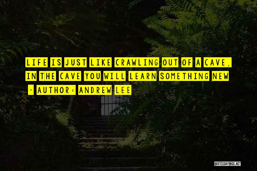 Life Is Just Like Quotes By Andrew Lee