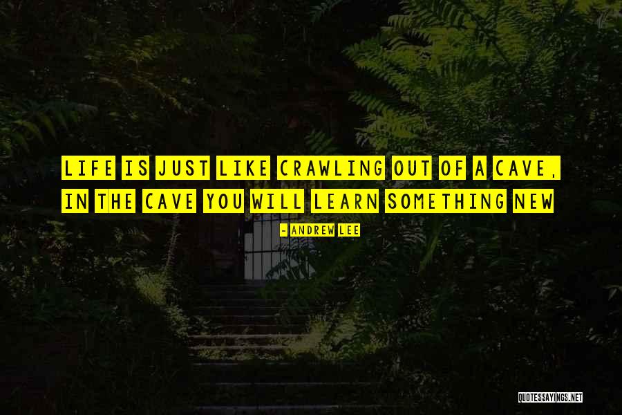 Life Is Just Like Quotes By Andrew Lee Life Is Just Like Quotes By Andrew Lee
