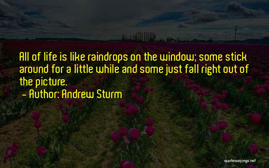 Life Is Just Like Quotes By Andrew Sturm