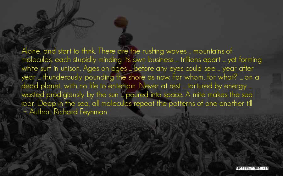Life Is Like A Dance Quotes By Richard Feynman